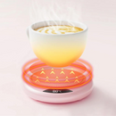 Aquecedor Termostático